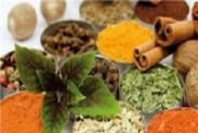 آداب غذا خوردن در سفر از نگاه طب سنتی