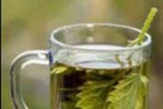 رفع ۹ مشکل با گیاه گزنه