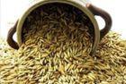 آشنایی با خواص سبوس گندم و جو