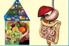 نکات آموزشی و راه های پیشگیری از شیوع بیماری‌های عفونی دستگاه گوارش