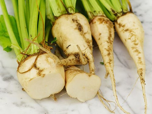 Sugar beet