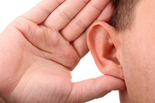 گوش عضوی از بدن