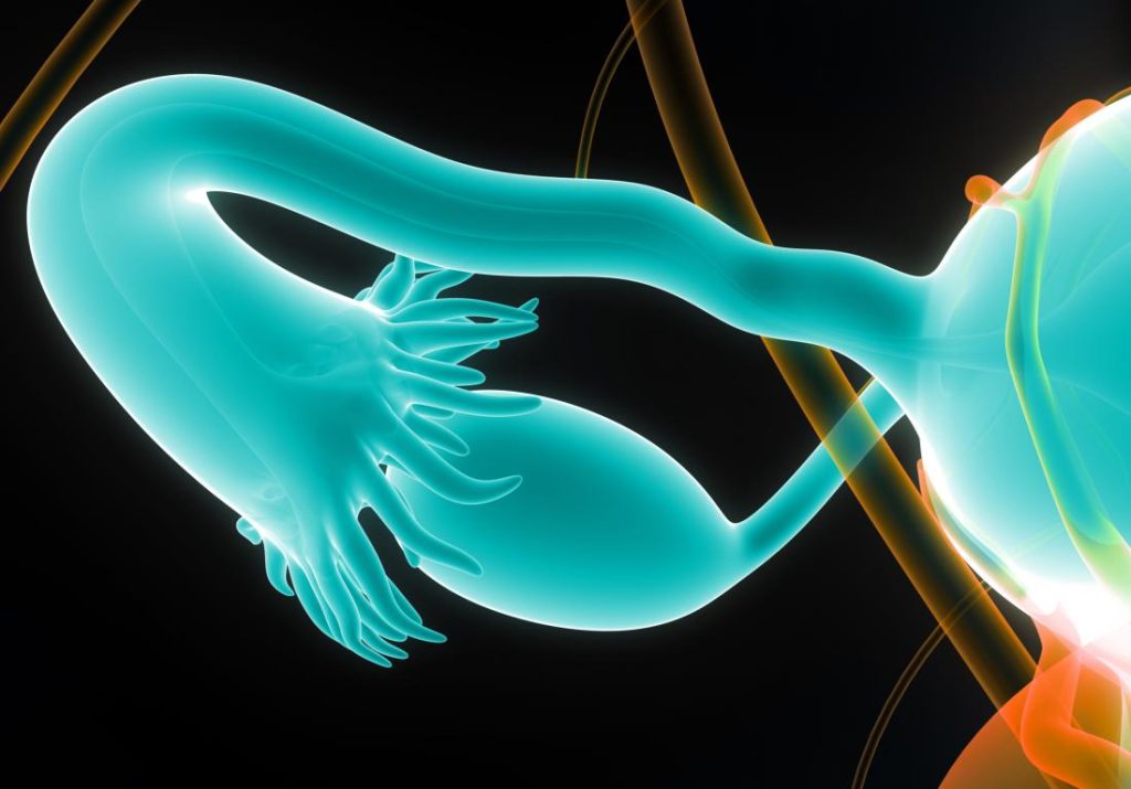 Closure of women's and men's tubes