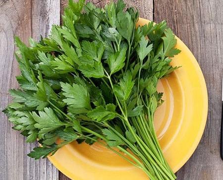 Parsley