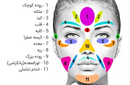 ?What are the symptoms of acne
